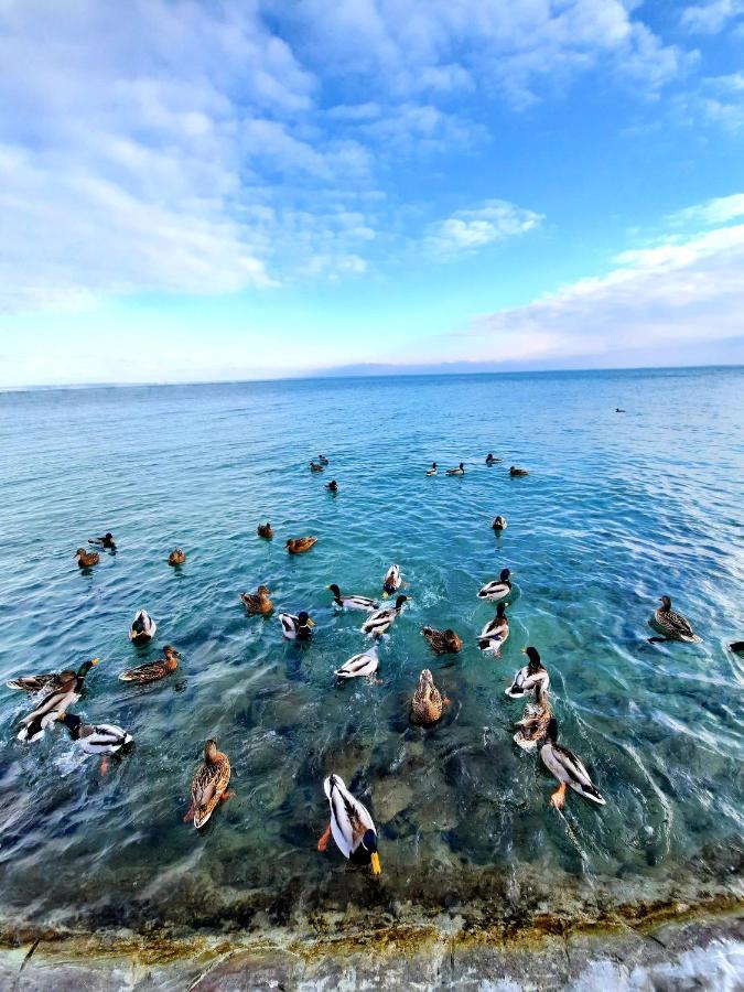Harmonia Vendeghaz Lejlighed Balatonalmádi Eksteriør billede